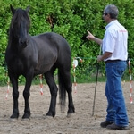 Bernard Lamonnier Education du cheval et du cavalier