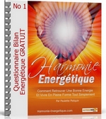 Bilan nergtique gratuit