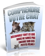 Comprendre votre Chat