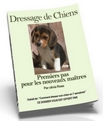 Dressage de Chien - Guide Gratuit