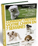 Dresser un Chien en 7 semaines