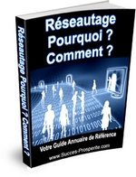 Guide du rseautage